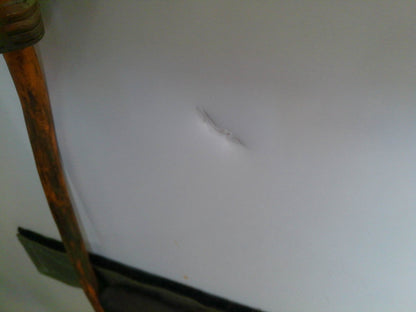 Thermo Scientific TSG72RPGA Three Glass Door Commercial Refrigerator 72Cf (2022)