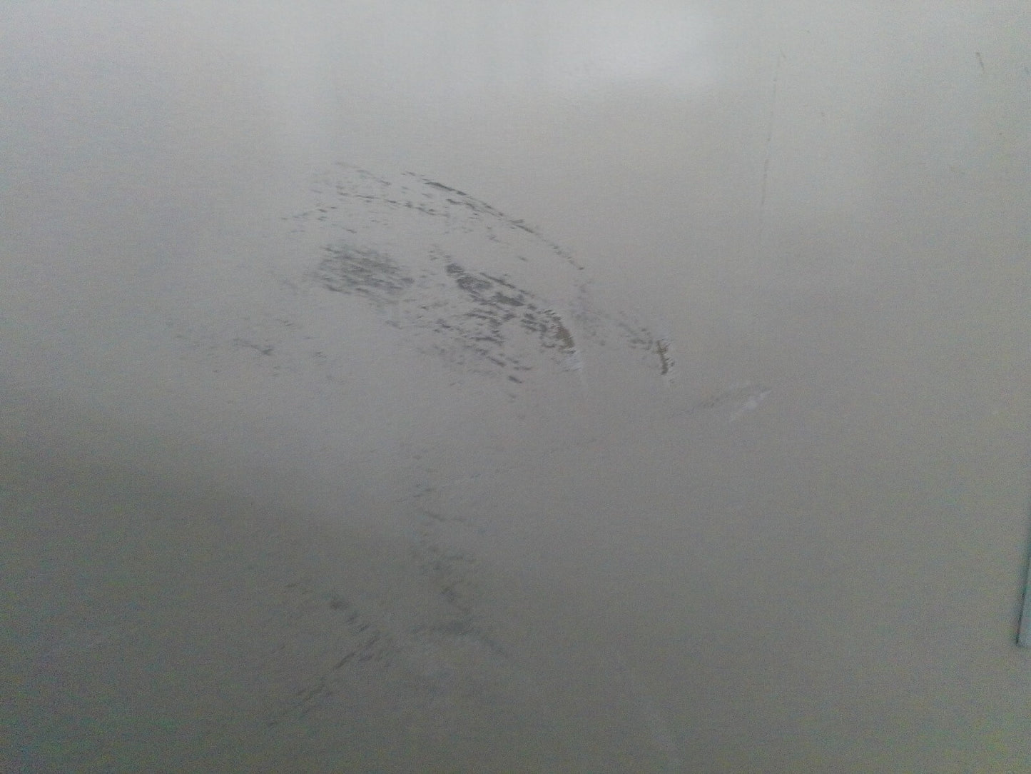 FisherBrand FBG49CSGA Isotemp Double Door Laboratory Refrigerator  49Cf