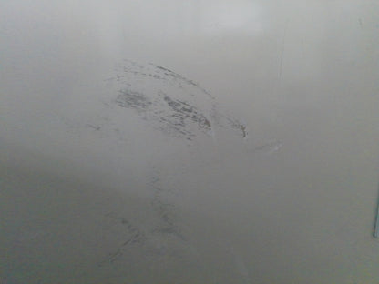 FisherBrand FBG49CSGA Isotemp Double Door Laboratory Refrigerator  49Cf