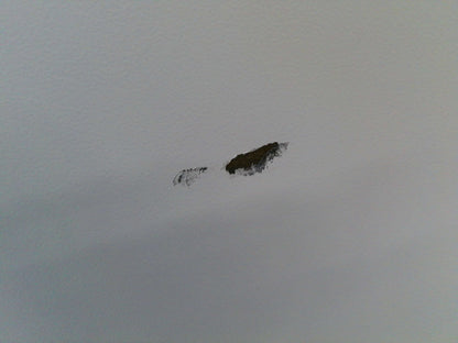 ABS American Biotech Supply -20C Laboratory Freezer 30Cf 120v FULLY TESTED 2011