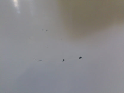 Thermo Scientific GTTSG25RPSA +4C Laboratory Refrigerator 23Cf FULLY TESTED